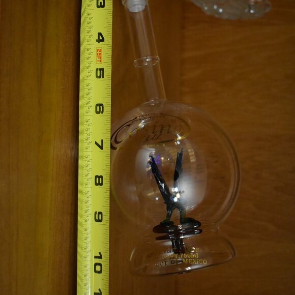 Tequila Casino Azul Hand-Blown Glass Decanter with Parrot Inside EMPTY BOTTLE - Picture 16 of 16